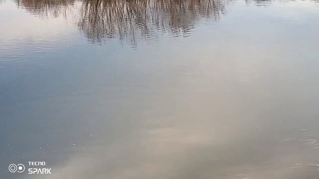 Рыбалка по жидкой воде 2023 смотреть онлайн