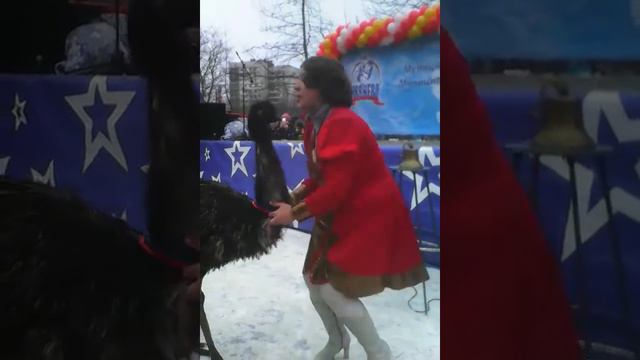Выступление страуса смотреть онлайн