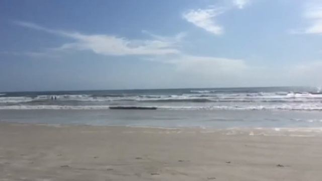 ФЛОРИДА ОКЕАН ?? ДАЙТОНА БИЧ | Silver Beach смотреть онлайн