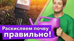 КИСЛАЯ ПОЧВА СТАНЕТ ПЛОДОРОДНОЙ! Вот чем и как раскислить почву осенью и весной правильно
