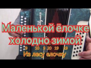Маленькой ёлочки холодно зимой // разбор на гармони