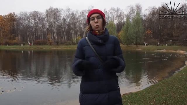 Золотой пруд. Онлайн-экскурсия по парку. Эпизод 13 смотреть онлайн