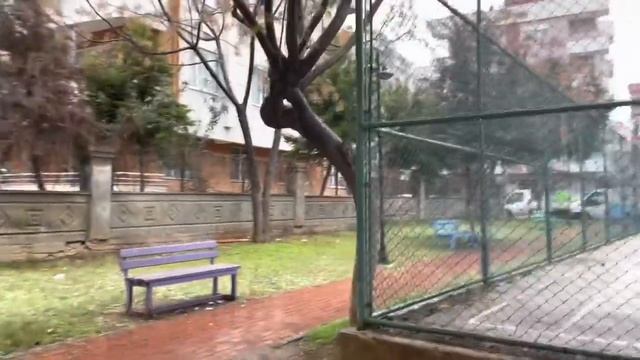 КАК ЖИВУТ МОИ СОБАКИ В ТУРЦИИ? Я ИМ ЗАВИДУЮ! смотреть онлайн