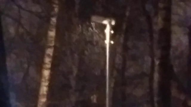 Вот она тёмная ночь пасмурная снежная до утра 31 01 23... смотреть онлайн