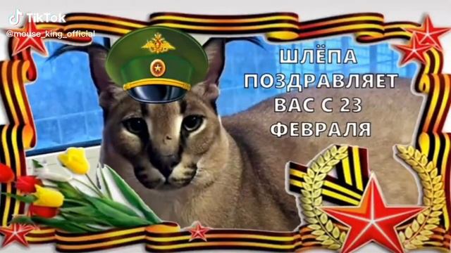С 23 ФЕВРАЛЯ ! смотреть онлайн