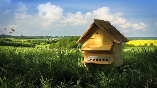 Minuscule - A Day in the Hive смотреть онлайн