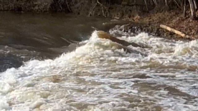 Абавас румба. Курземские водопады 21/02/2019 смотреть онлайн