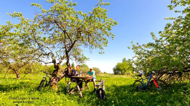 Яблоневый Сад Таймлапс 4К Apple Orchard Timelapse 4K video смотреть онлайн