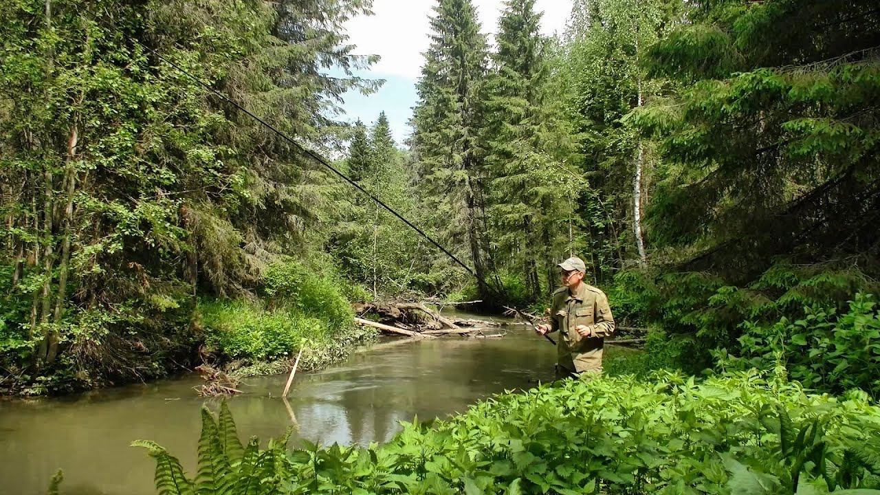 Рыбалка на небольшой лесной речке #433 смотреть онлайн