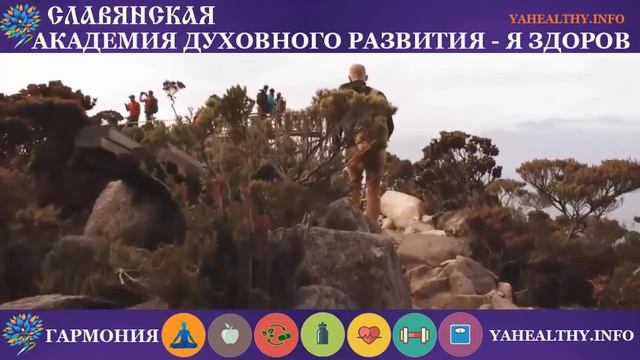 Правильный порядок выполнения практик | Славянская Школа Жива | Слово Ведагора смотреть онлайн