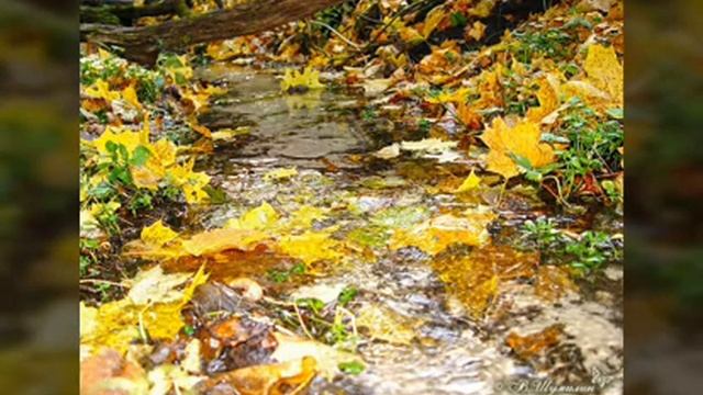 Стихи про месяц октябрь для детей Н. НЕКРАСОВ "Перед дождем" смотреть онлайн