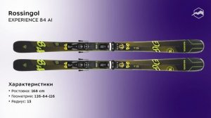 ТОП-5 универсальных горных лыж 2020-2021