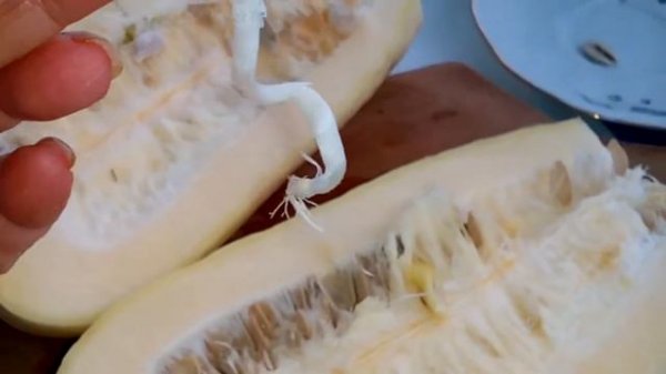 В кабачке растет кабачок. Семена кабачка ожили в декабре.