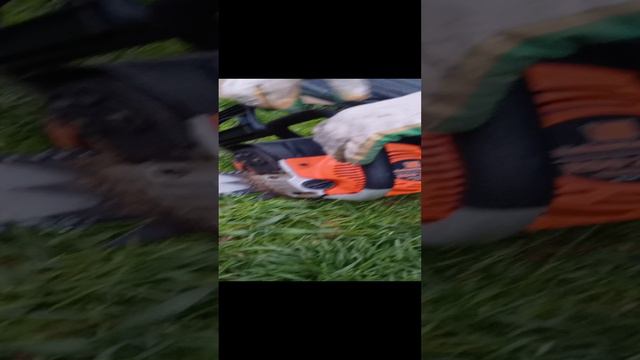 Бензопила Caver 262x под писывайтесь на канал