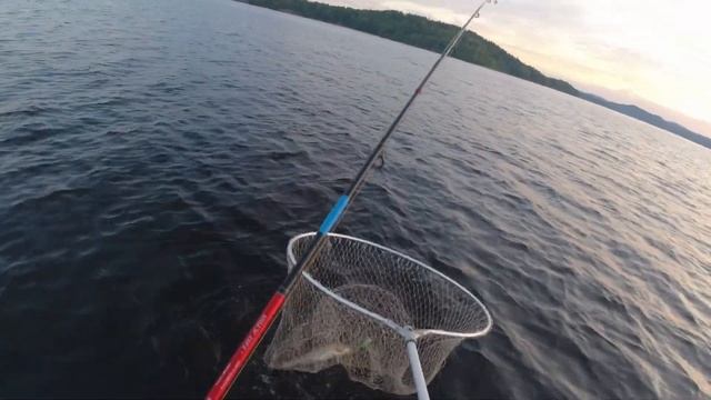 Судак, щука и окунь Рыбалка на Ладоге. смотреть онлайн