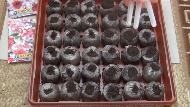 Выращиваем рассаду ПЕТУНИИ (100% всхожесть).САД и ОГОРОД смотреть онлайн
