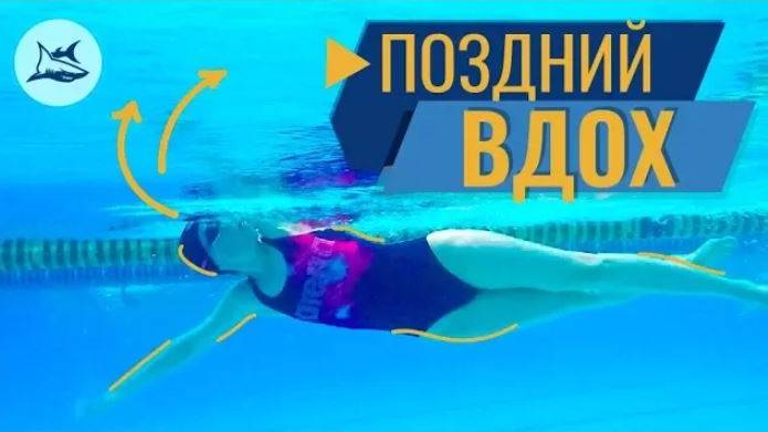 ТЕХНИКА ПЛАВАНИЯ КРОЛЕМ. АНАЛИЗ И РАЗБОР. ПОЗДНИЙ ВДОХ, ПОЛОЖЕНИЕ ГОЛОВЫ, ГРЕБОК смотреть онлайн