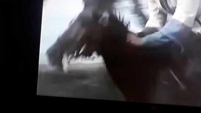 кубанские казаки скачки смотреть онлайн