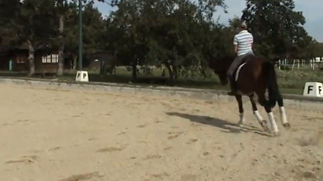 Ferrique TS смотреть онлайн