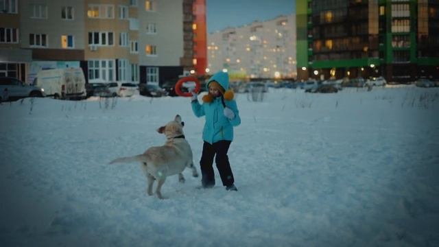 Съемка видео на Nikon d750. Лабрадор и девочка играют зимой) смотреть онлайн