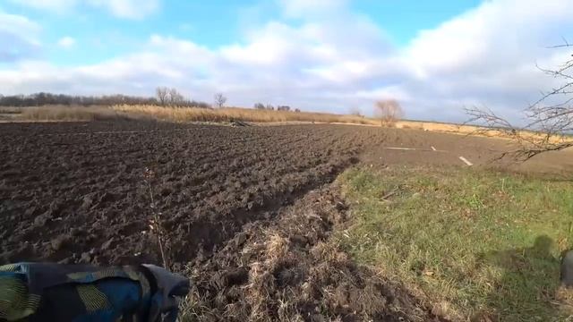 Влог: Посадили Орех Малину и Крыжовник\Диана и Рушан смотреть онлайн