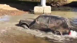 песня про ниву