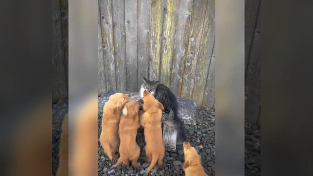 Слезай, пошли танцевать... Танцуем... смотреть онлайн