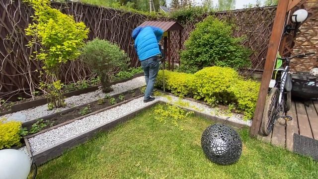 Стрижка Golden Princess. Cпирея смотреть онлайн