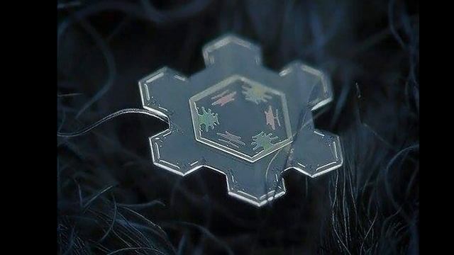 Это должен посмотреть каждый. Снежинки под микроскопом.