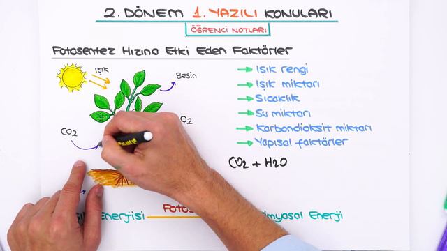 8.Sınıf Fen 2.Dönem 1.Yazılıya Hazırlık 📑 #2024 смотреть онлайн