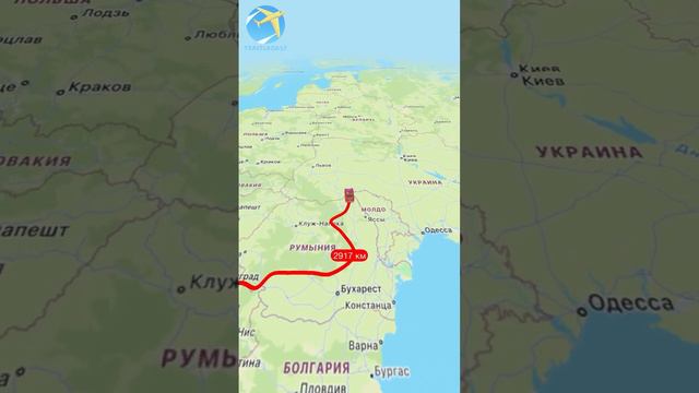 Guess the Empire #country #empire смотреть онлайн