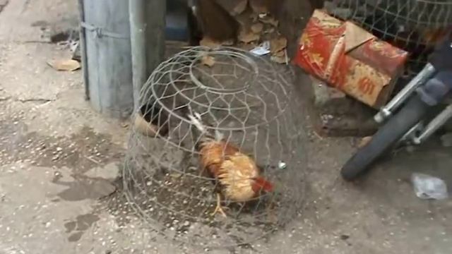 Поездка в Хошимин (Вьетнам) /Saigon Trip (Ho Chi Minh City)/ Hồ Chí Minh смотреть онлайн