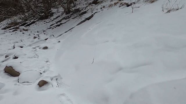 Форель. Рыбалка в Дагестане. Розыгрыш. смотреть онлайн