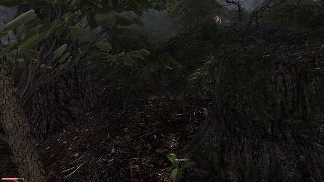 GOTHIC 2 [Only First Person] #001 • Ein neues Spielerlebnis смотреть онлайн