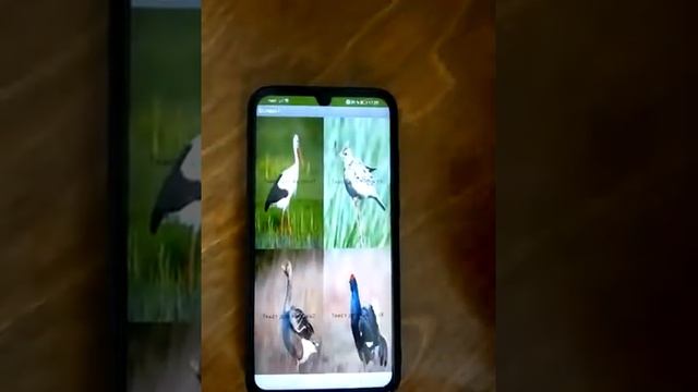 APP Inventor. Создание мобильных приложений смотреть онлайн