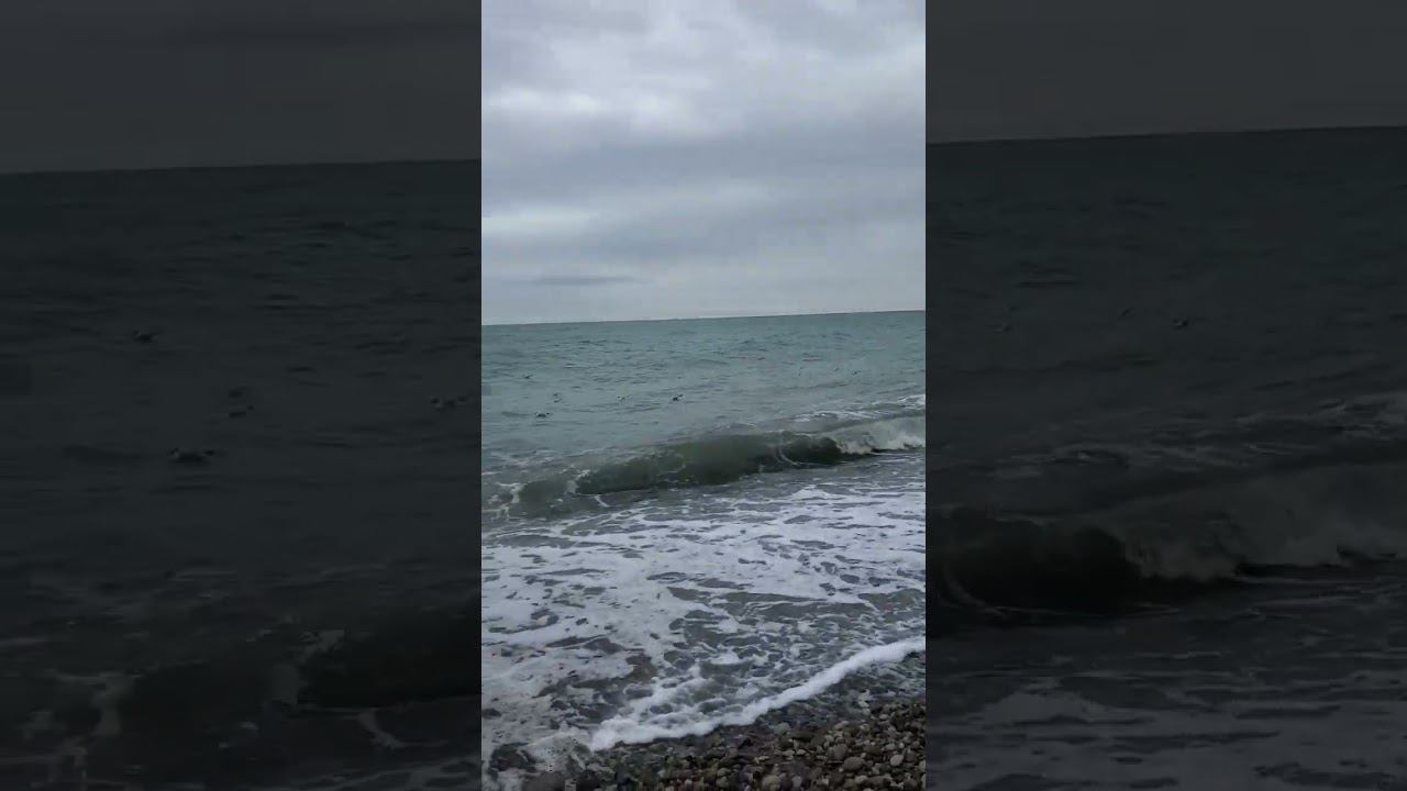 05.03.23 г. Пляж "морская звезда".Погода Лазаревское #shorts #морскаязвезда #погодасочи #лазаревское смотреть онлайн