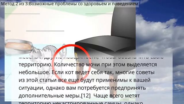 Как отучить вашего кота мочиться в неположенных местах смотреть онлайн