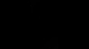 Звёздное Дитя Арима