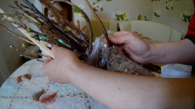 Питомник Сады Урала. Саженцы смородины, малины и яблони. смотреть онлайн
