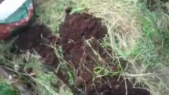 Кава як добриво. смотреть онлайн