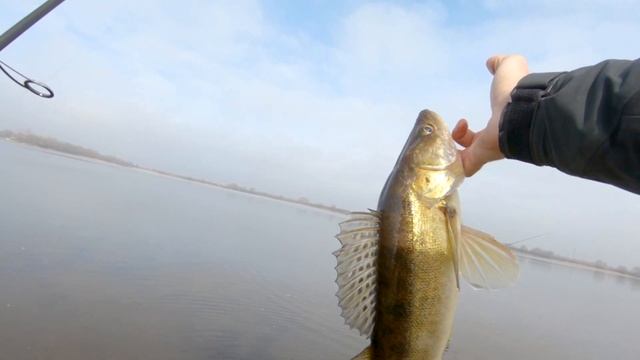 РЫБАЛКА в САМОМ ИЗВЕСТНОМ МЕСТЕ МОСКВЫ-РЕКИ! ДЖИГ в ХОЛОДНОЙ ВОДЕ смотреть онлайн