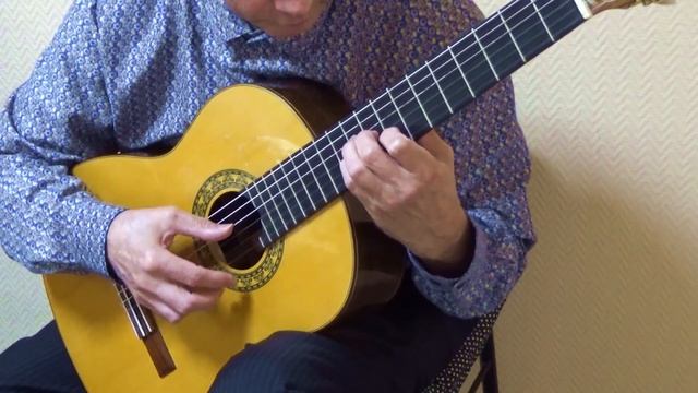 Ты пойди, моя коровушка, домой НА ГИТАРЕ + НОТЫ + ТАБЫ. Аранжировка Сергея Богомолова смотреть онлайн