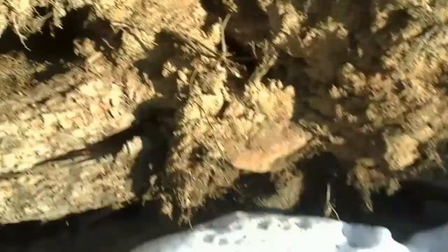 Дальнейшее укрепленние зимовья . смотреть онлайн