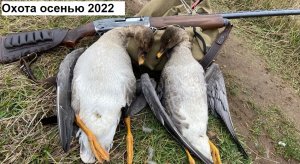 Охота осенью с подхода 2022
