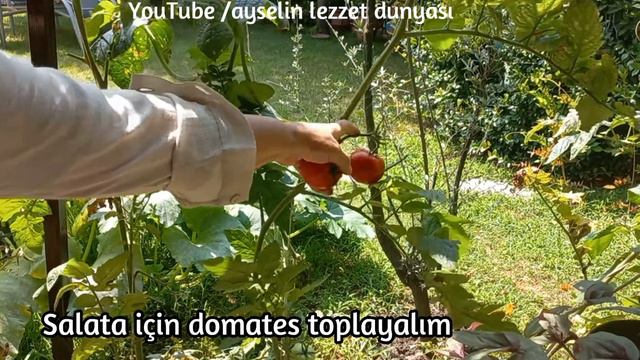 📣 Börülçeyi sevdiren Tarif,Börülçeli bulgur pilavı nasıl yapılır❗️ смотреть онлайн
