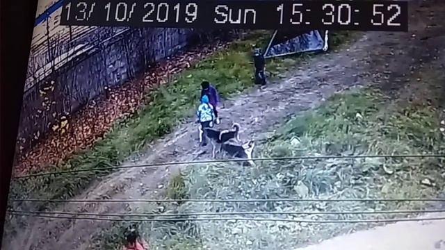 Вот для таких случаев нужен питбуль смотреть онлайн