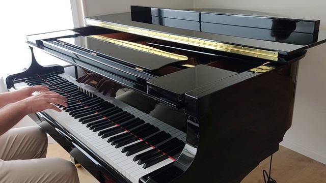 Chuck Berry, Memphis Tennessee, piano only version, by Oliver; played on a Yamaha C1 grand piano. смотреть онлайн