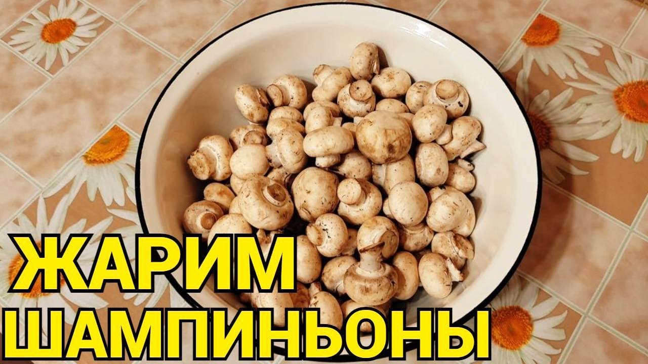 Как пожарить грибы шампиньоны видео смотреть онлайн