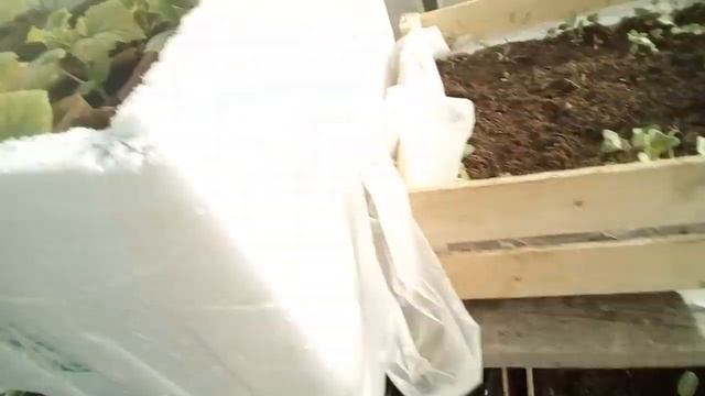 Отопление теплицы просто, легко и бесплатно смотреть онлайн