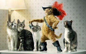 Приколы с котами! С ОЗВУЧКОЙ! РЖАКА ДО СЛЕЗ Самые смешные животные! !